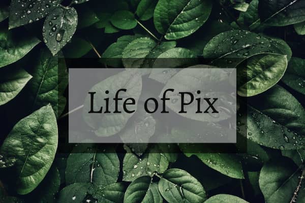 Life of Pix